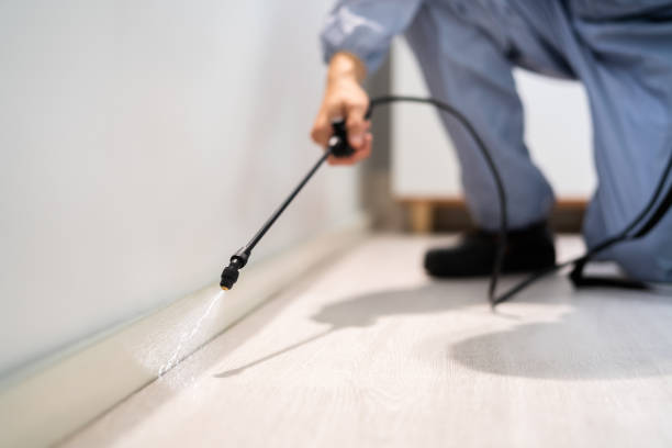 Licensed Pest Control service in Golden Triangle, NJ - Show Me Pest Control