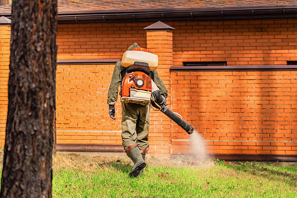 Bed Bug Clearance Verification and Documentation in Golden Triangle